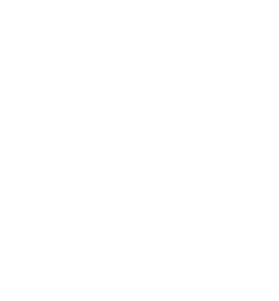 قالب وردپرس کلینیک زیبایی و پزشکی ایرانی زیبانو